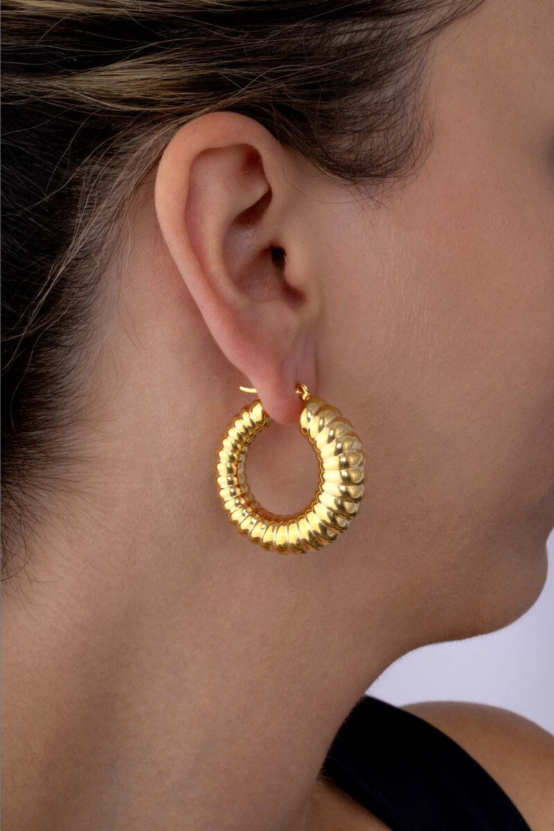 Burgu Model Halka Altın Kaplama Çelik Kadın Küpe - 3